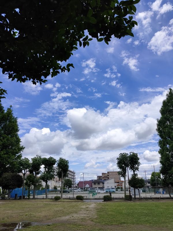 梅雨の晴れ間